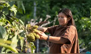 Concurso “Frutos de la Amazonía” financiará varios negocios
