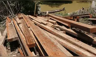 Incautan 40 mil pies tablares de madera ilegal en Ucayali