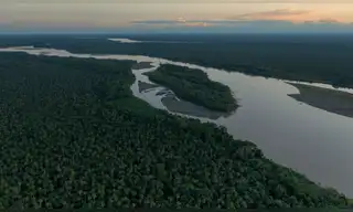 Alemania donará millones de euros para proteger ecosistemas