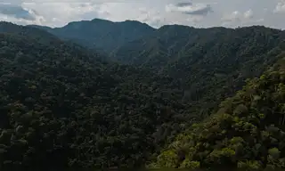 Perú establece nueva Área de Conservación Regional en Loreto