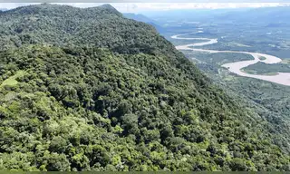 San Martín: Otorgan nueva concesión para proteger más de 2,100 hectáreas de bosque amazónico