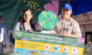 Lanzan campaña nacional para proteger a los insectos polinizadores a través de la educación ambiental