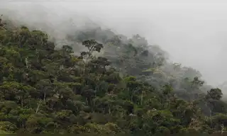 Área de Conservación Regional: Pasco ya tiene la primera