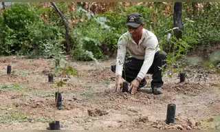 Impulsan reforestación para asegurar agua y restaurar ecosistemas