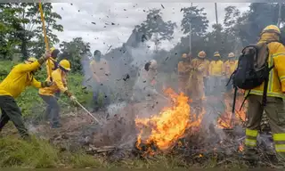 Minam fortalece prevención de incendios forestales en regiones