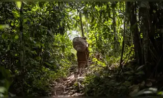 Encuentro regional en Lima buscará articular financiamiento a gran escala para la conservación de la Amazonía