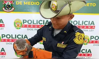 Rescatan nutria de río durante operativo contra tráfico ilegal