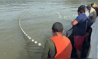 Lago Sauce: IMARPE monitorea tilapia y recursos pesqueros