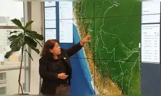 Bosques amazónicos: SERFOR y FAP refuerzan vigilancia