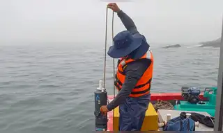 El Niño Costero: IMARPE evalúa impacto en anchoveta