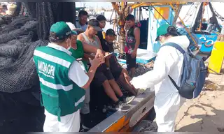El Niño Costero: buscan proteger fauna marina en Perú