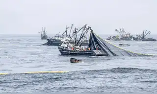 Perú pierde más de S/ 1200 millones al año por pesca ilegal mientras herramientas satelitales clave siguen fuera del alcance de fiscalías y regiones