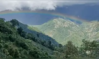 Bosque Tijae–Río Nieva protegerá agua y biodiversidad amazónica