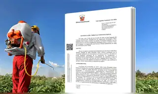 Tribunal Constitucional ordena suspender plaguicidas tóxicos ante contaminación de alimentos