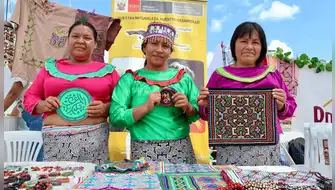 Anuncian Festival de la Biodiversidad 2026