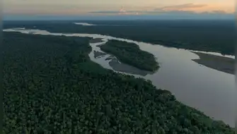 Alemania donará millones de euros para proteger ecosistemas
