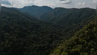 Perú establece nueva Área de Conservación Regional en Loreto