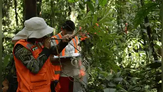 Perú fortalece proyectos de carbono para captar inversión climática