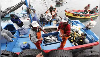 Sanipes fortalece la pesca artesanal en la región Arequipa