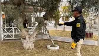 Rescatan mono machín negro víctima del tráfico ilegal en Moquegua