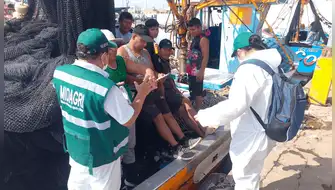 El Niño Costero: buscan proteger fauna marina en Perú