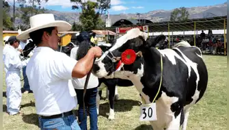 Fongal 2026 impulsa la ganadería y el desarrollo de Cajamarca