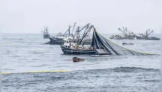 Perú pierde más de S/ 1200 millones al año por pesca ilegal mientras herramientas satelitales clave siguen fuera del alcance de fiscalías y regiones