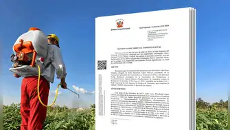 Tribunal Constitucional ordena suspender plaguicidas tóxicos ante contaminación de alimentos
