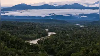 Bosques del Araza: Cusco avanza en su protección regional