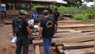 Ucayali: incautan cedro oculto y 1,100 tablillas de bolaina