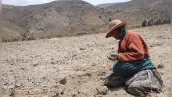 Sequías por El Niño ponen en riesgo a 4.3 millones en Perú