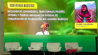 Mujeres indígenas lideran rescate de abejas nativas en Perú frente a crisis climática
