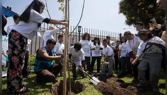 Impulsan forestería urbana y conservación en Chilca