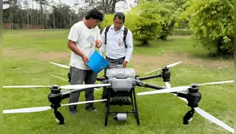 El Niño: IIAP usa drones y ADN ambiental en la selva alta