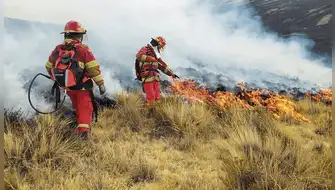 Incendios forestales: El Niño ampliaría la temporada en 2027
