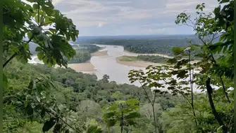 Masivo rechazo a proyecto de ley que permitiría extracción de hidrocarburos en Bahuaja Sonene y amenazaría a pueblos aislados