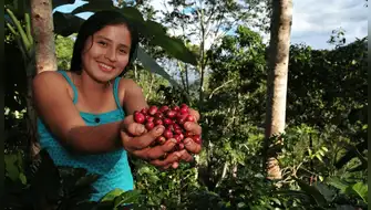 Calidad del café: San Marcos impulsa tecnología en Junín