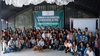 Oxapampa se consolida como epicentro de la meliponicultura en el Perú rumbo al III Congreso Nacional 2027