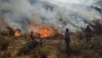Quemas agrícolas elevan riesgo de incendios forestales en Perú