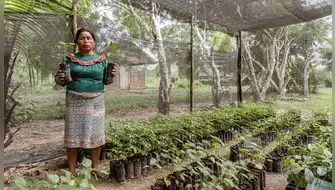 Minam reconoce a comunidades por proteger ecosistemas