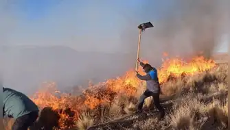 Espinar: incendios forestales arrasan pastizales y matan animales