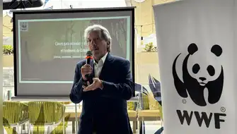 El Niño y el Cambio Climático: Una alianza peligrosa que amenaza la Amazonía y la economía peruana