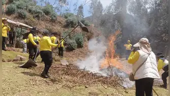 Cusco: Serfor capacitará a más de 400 brigadistas contra incendios