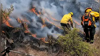 Cusco: tres incendios forestales devastan Calca y La Convención