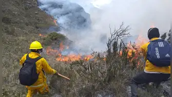 Reportan nuevos incendios forestales en cinco regiones del país