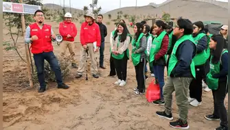 Ancón: proteger tillandsias tras retiro de 177 kilos de basura