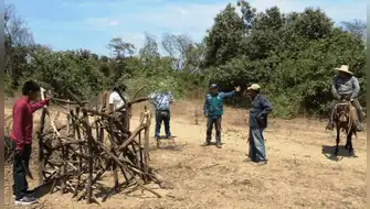 La Libertad protegerá 49.887 hectáreas de bosques secos y páramos