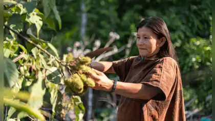 Concurso “Frutos de la Amazonía” financiará varios negocios