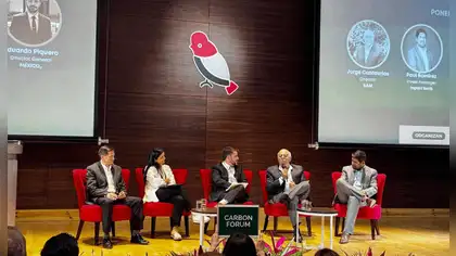 Cambios metodológicos externos amenazan la rentabilidad de los proyectos de carbono en el Perú
