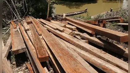 Incautan 40 mil pies tablares de madera ilegal en Ucayali